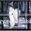 CE Approved automatic small samosa making machine