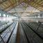 Best Selling Wholesale Poultry Layer Chicken Battery Cage for Kenya Farms