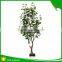 Top quality artificial money tree for decoration