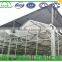 vegetable seeds greenhouse