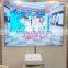 Portable anti-reflection Projection Screen