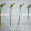 Environmentally-friendly Bamboo Raw Material and Natural bamboo Finishing bamboo skewer