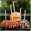 Wooden Candy Apples Sticks Logo