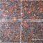 Tan Brown Granite Counter Tops / Stair Case / Floor Tiles