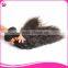 8A Grade Hot New Hair Products For 2015 Brazilian Human Hair Bulk Crochet Braids With Human Hair