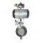Metallic hard sealed Butterfly valve