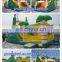 Inflatable Pirate Bouncer/bouncy castle toy