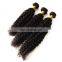 2017 hot sale kinky curly indian hair salon equipment china