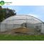 Low cost single span plastic geodesic dome greenhouse for vegetable