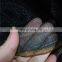 Joining together anti insect net/Olive net 8m
