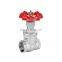 3/4 handwheel stainless steel 316 female thread gate valve kitz dn25