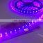 Shenzhen High Quality 5050 Led Flexible Strip Epistar 400nm uv Led Strip 5m/roll With 3 Years Warranty