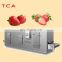 TCA iqf tunnel freezer for mangoes iqf tunnel freezer for pizza
