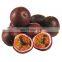 FRESH PASSION FRUITS WITH BEST PRICE AND HIGH QUALITY FROM VIETNAM