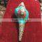 Craft Conch Shell