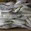 Frozen Sardine from Chinese Manufacture