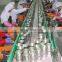 high quality canned fish sardine production line
