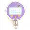 High Precision Digital Pressure Gauge Data Logger Storage 50000 Datas