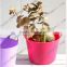 flower water bucket/colorful flower bucket