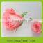 Fresh cut rose plants