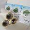 Bopp EVA Thermal lamination film / 2015 New High Glossy