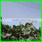White Crystal Color Raschel knitted hdpe agriculture hail protection net