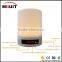 Wireless Bluetooth Speaker Outdoor Bluetooth Speakers Portable Bluetooth Speaker With FM Radio Function