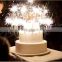 Wedding party fun indoor sparklers flash light in the dark                        
                                                Quality Choice
