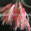The New 2016 Japan fishing hook 25pcs/1 bag ;Longline Traces Squid 50cm fishhook # 18 lure hook for fishing