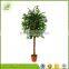 customized in stock plastic artificial banyan tree for indoor decoration