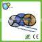 12V Waterproof Battery Powered LED Strip Light
