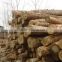 Bed slats LVL Pine or Birch wood logs hardwood