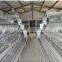 poultry farm automatic drinking system feeding system for 10000 chickens