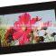 7" TFT 800 * 480 PT0708048TC-D202 with capacitive touch panel