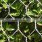 galvanized gabion box