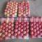 Grade AA juicy,sweet red fuji apple