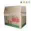 Wholesale custom cardboard corrugated carton box for apples