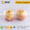 Customized apple fruit packaging box with 2 cells