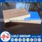 wood grain high glossy UV coated melamine faced MDF board of all size for decoration made from shandong China uv panels