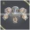 Hot Sale E14 Glass Shade Ceiling Lamp 5 Lights, Certificated Ceiling Lamp