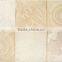 New Design Ceramic Wall Tiles