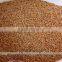 14 % Protein Milling Wheat