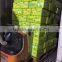 FRESH SEEDLESS LIME