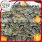 Chinese vegetable raw gws pumpkin seeds kernel