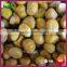 2015 Supply Organic Best Delicious Frozen Peeled Roasted Chestnut