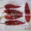 Dehydrated Hot American Red Chilli