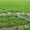 Agricultural irrigation PE lay flat hose