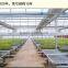Greenhouse Seedling Nursery Bed Greenhouse Equipment