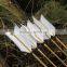 FD - 15427Indonesia white wooden arrows