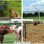 Barbed Wire Chain Link Fencing Materials